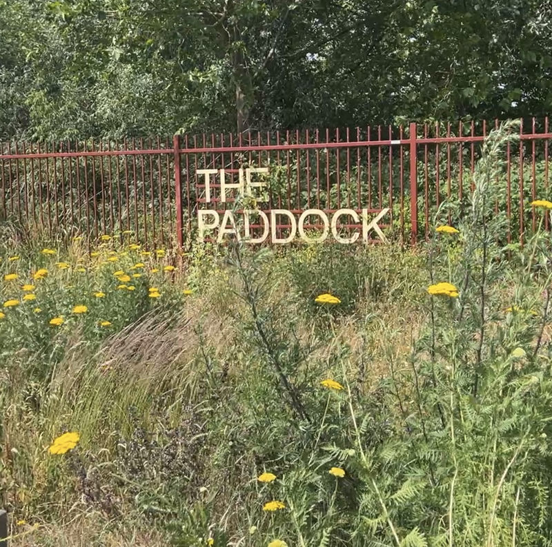 Have Your Say Today - The Paddock - Commonplace